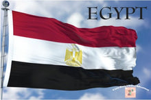 Load image into Gallery viewer, Lola Koala Postcards (set of 4)